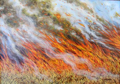Bushfire Inferno, 2014 by Tilly Willis